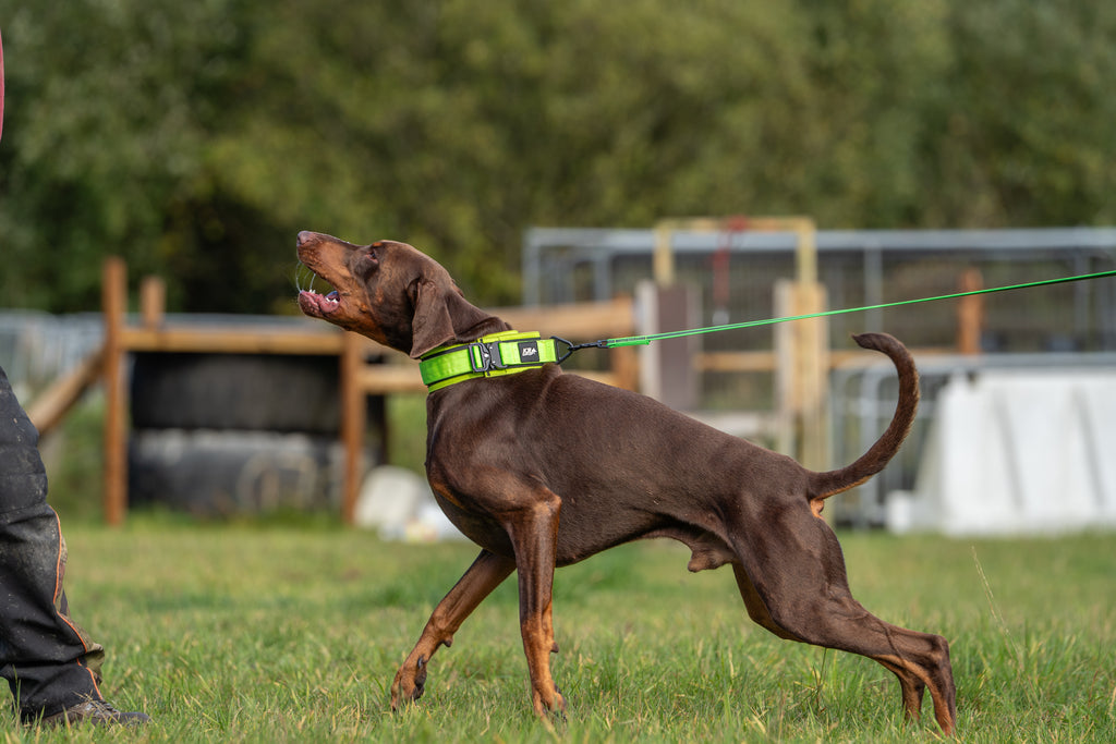 Training Grip Lead - 2 Meter