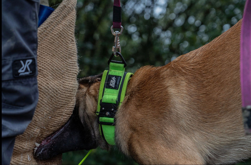 7cm Heavy Duty Collar