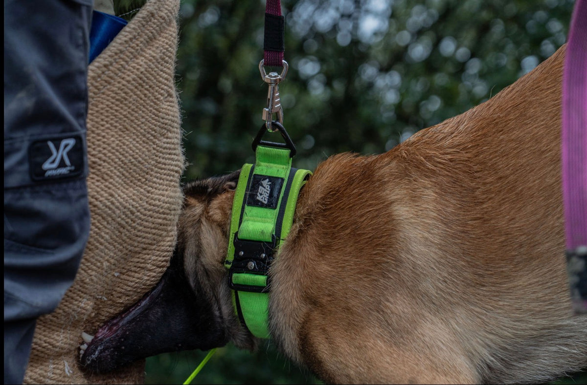 7cm Heavy Duty Collar