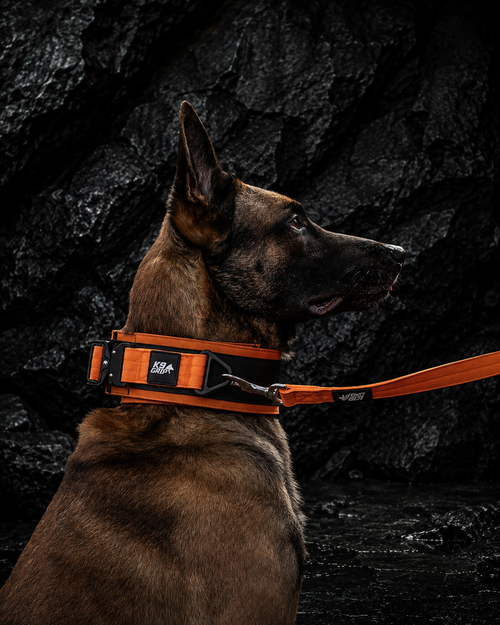 1.2m No-Handle Training Lead