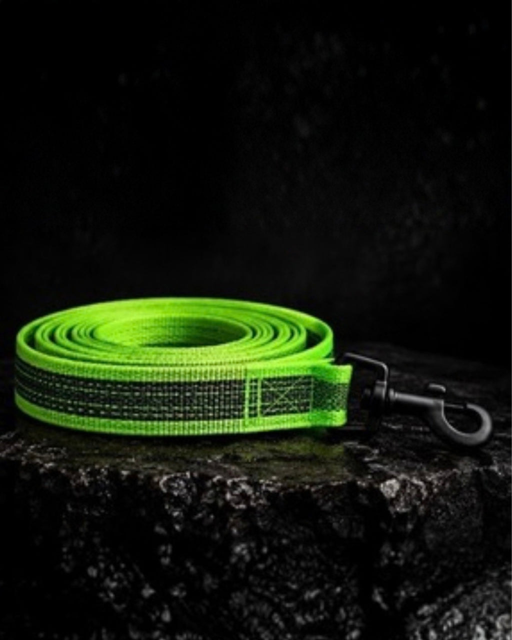 Training Grip Lead - 2 Meter