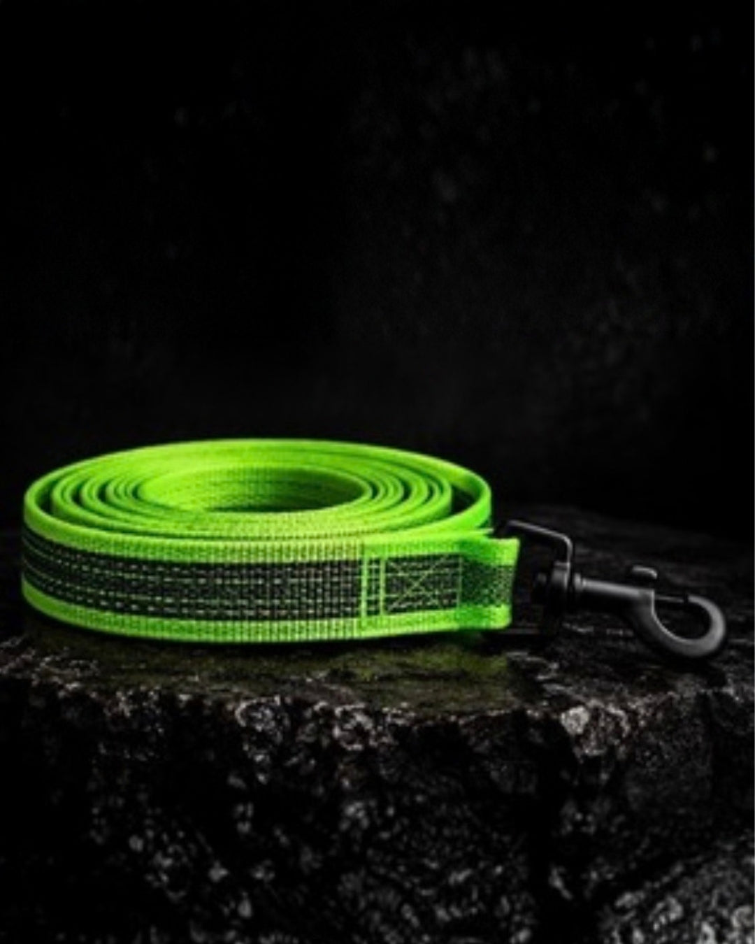 Training Grip Lead - 2 Meter