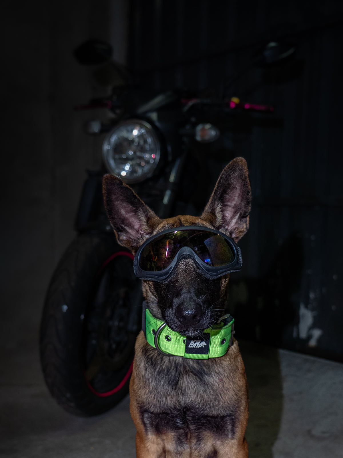 5cm Everyday Use Collar