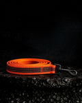 Training Grip Lead - 2 Meter