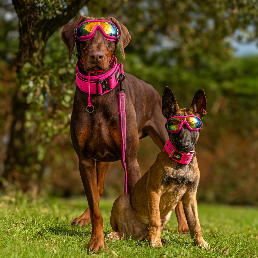 Obedience Grip Lead - 0.5 Meter