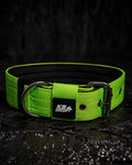 5cm Everyday Use Collar